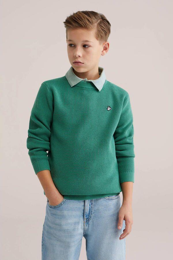 WE Fashion trui fijn gebreid groen
