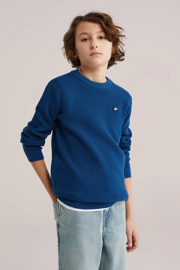WE Fashion trui fijn gebreid marineblauw
