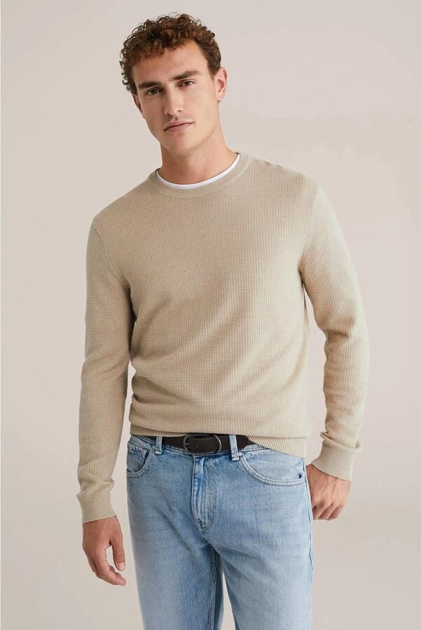 WE Fashion trui gebreid beige