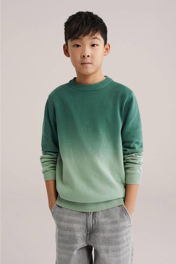 WE Fashion trui groen fijn gebreid