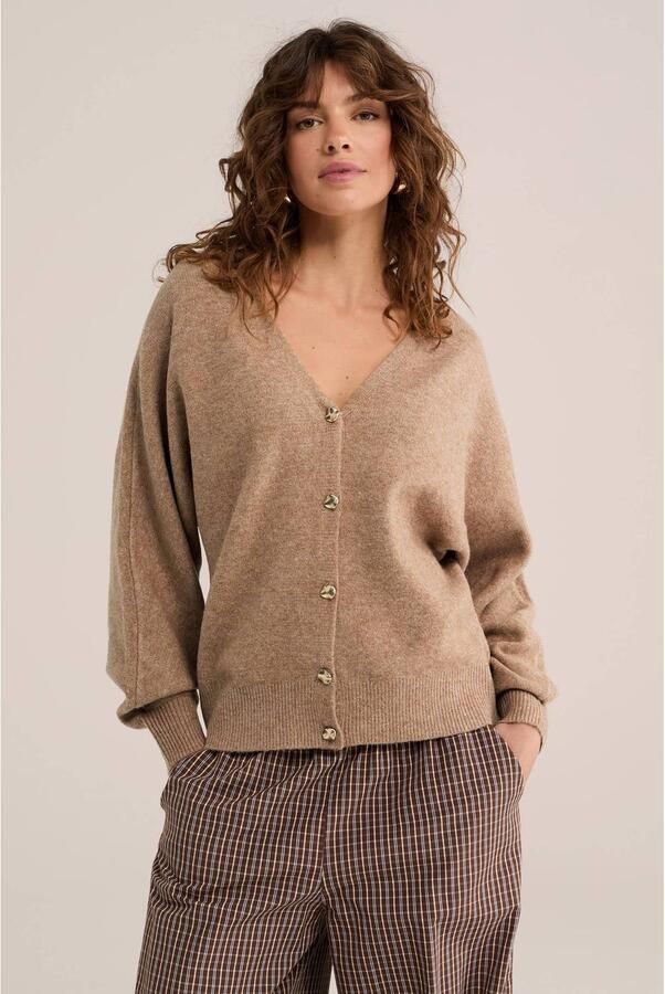WE Fashion wollen gebreid vest lichtbruin