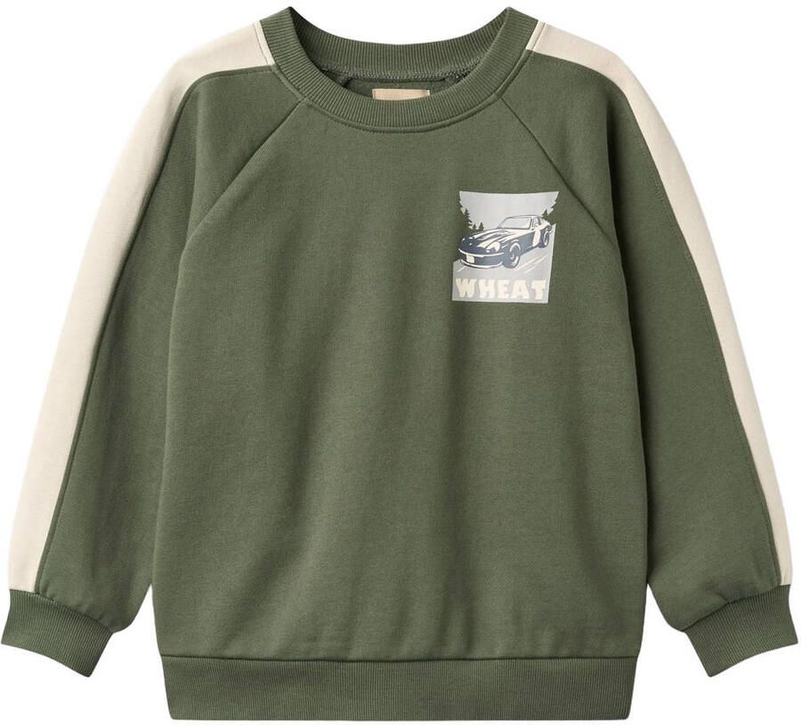 Wheat oversized sweater met print groen Jongens Katoen Ronde hals Meerkleurig