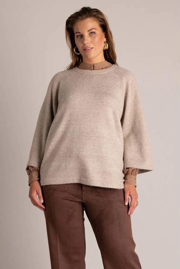 Yest Curve Plus Size gebreide trui met glitters beige