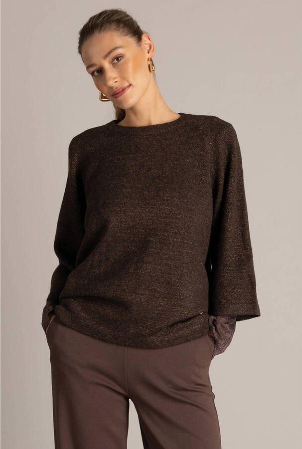 Yest pullover bruin