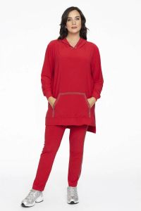 Yoek gestreepte straight fit tregging DOLCE van travelstof rood