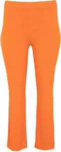 Yoek Plus Size tregging Dolce oranje