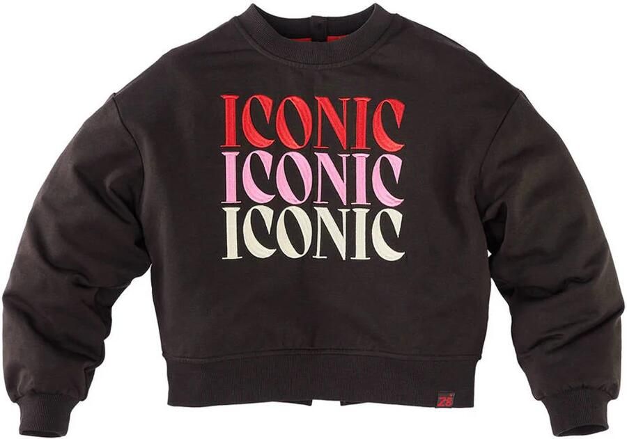 Z8 kids sweater met borduursels en print donkerbruin