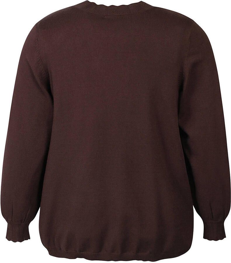 Zhenzi Plus Size pullover bruin