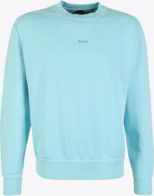 Boss Sweater Turquoise
